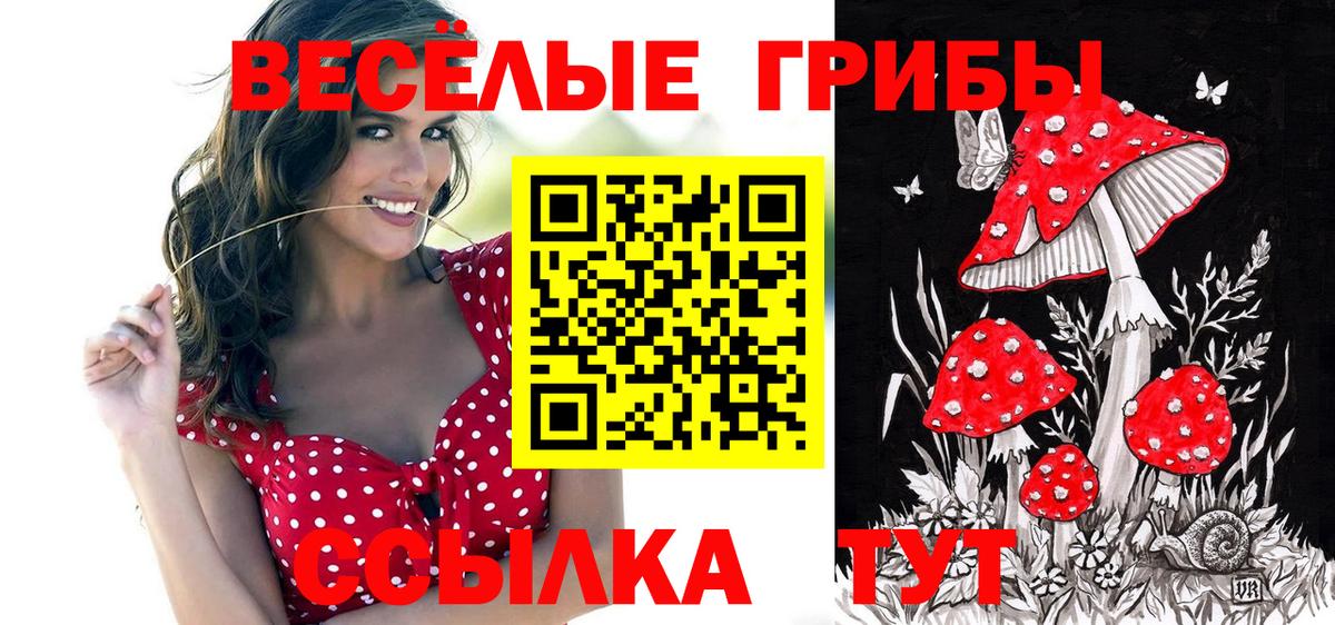 Псилоцибиновые грибы Psilocybe  Псилоцибиновые грибы Magic Shrooms  Вход с VPN  Химки 